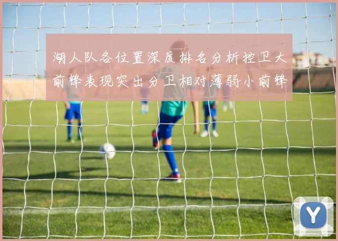湖人队各位置深度排名分析控卫大前锋表现突出分卫相对薄弱小前锋与中锋处于中游水平