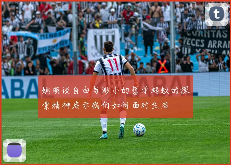 姚明谈自由与渺小的哲学蚂蚁的探索精神启示我们如何面对生活