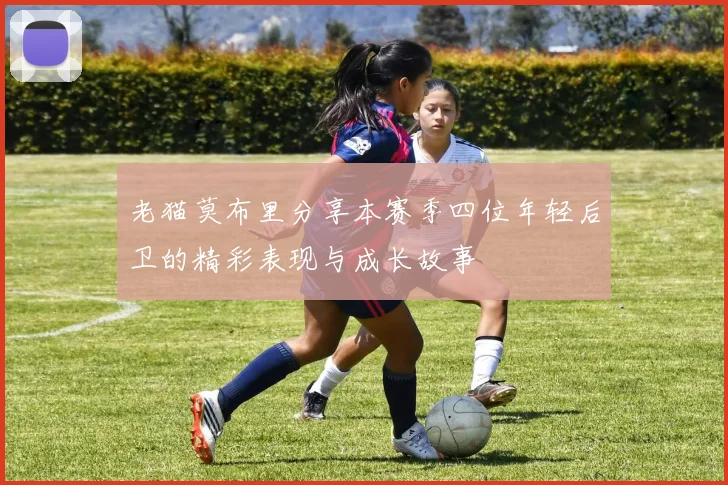 老猫莫布里分享本赛季四位年轻后卫的精彩表现与成长故事