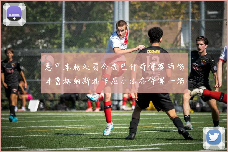 意甲本轮处罚公告巴什奇停赛两场库普梅纳斯扎卡尼小法各停赛一场