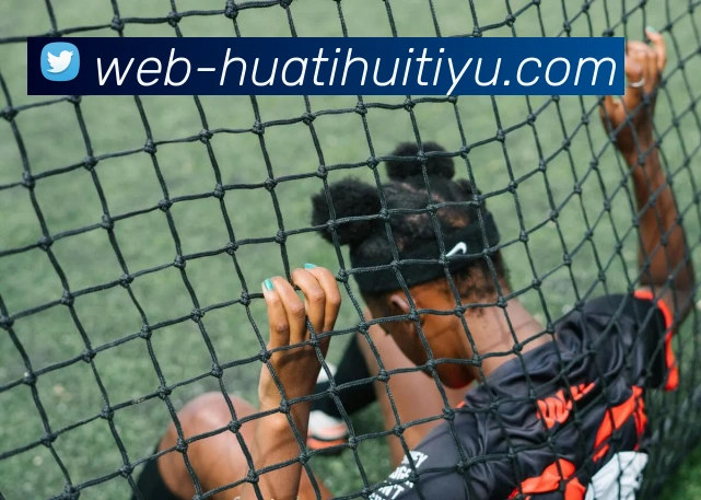 华体会体育服务体系