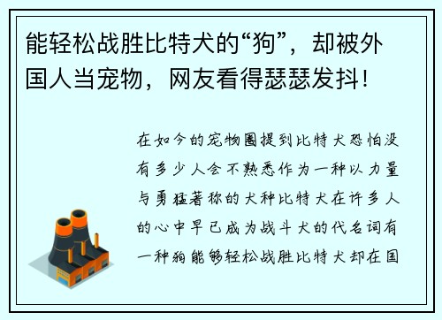 能轻松战胜比特犬的“狗”，却被外国人当宠物，网友看得瑟瑟发抖！